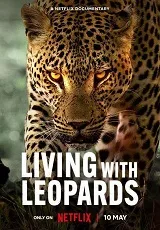 Ver Pelicula La vida entre leopardos (2024)